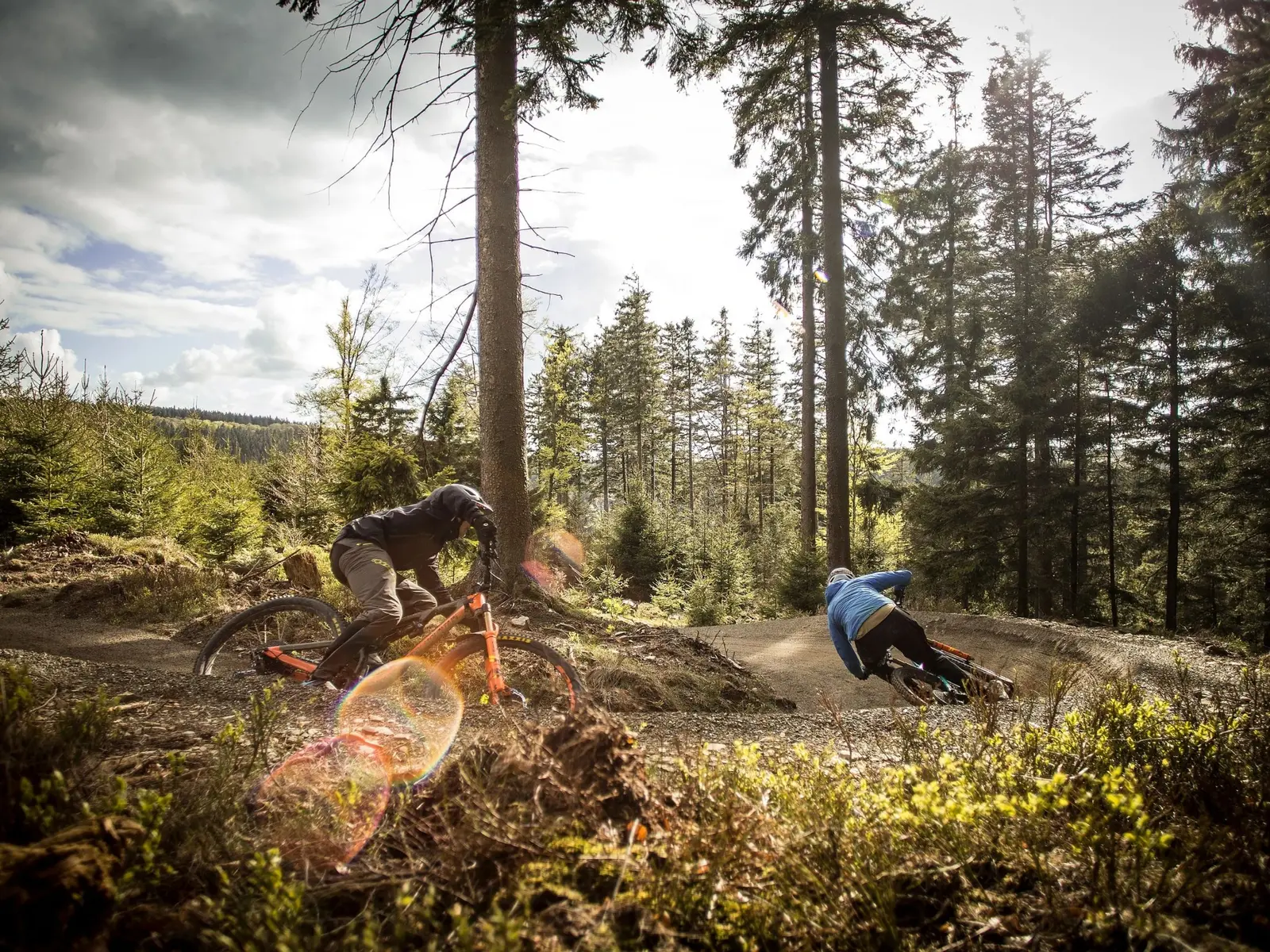 Mountainbike Sauerland