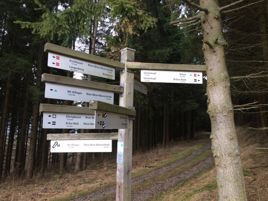 Wandelen Brilon-Wald